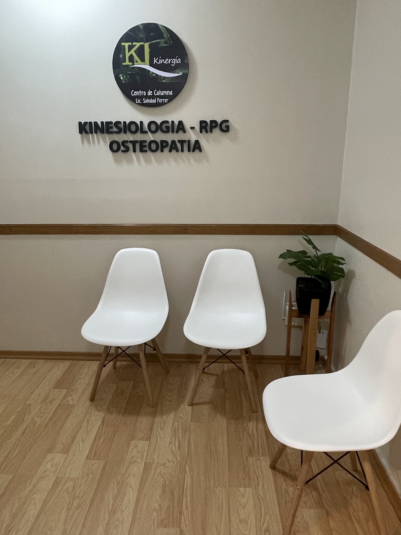 Pilates Terapéutico en Reformer Kinergia